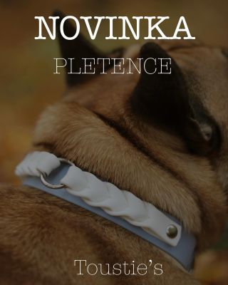 ✨ Pletenec – luxus, originalita a ruční práce v jednom. Náš nový obojek a vodítko s originálním ozdobným pletením promění...